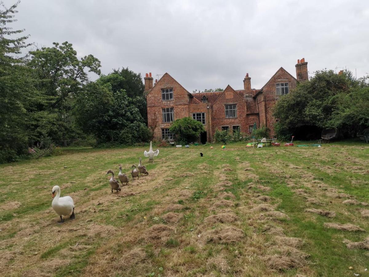 Bed and Breakfast Old Manor House Shepperton Esterno foto