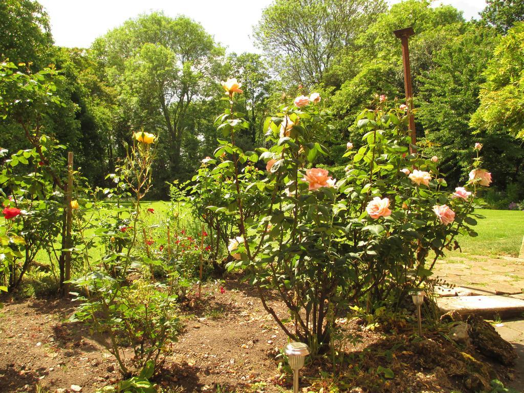 Bed and Breakfast Old Manor House Shepperton Esterno foto