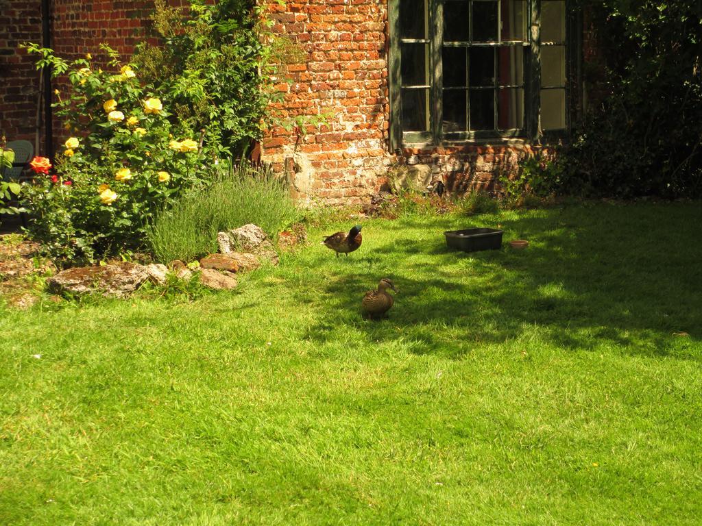 Bed and Breakfast Old Manor House Shepperton Esterno foto