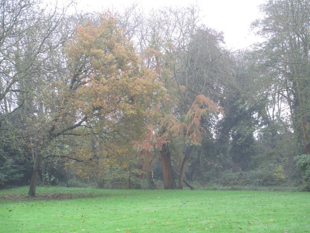 Bed and Breakfast Old Manor House Shepperton Esterno foto